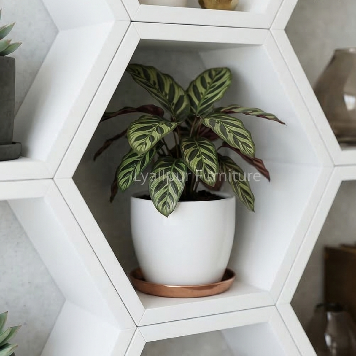 White Hexagon Honeycomb Shelves